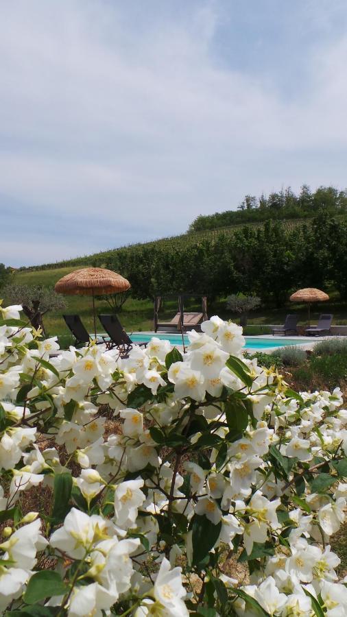Sotto La Vigna Charm Stay Adults Only Vacation Suite Montegrosso dʼAsti Dış mekan fotoğraf