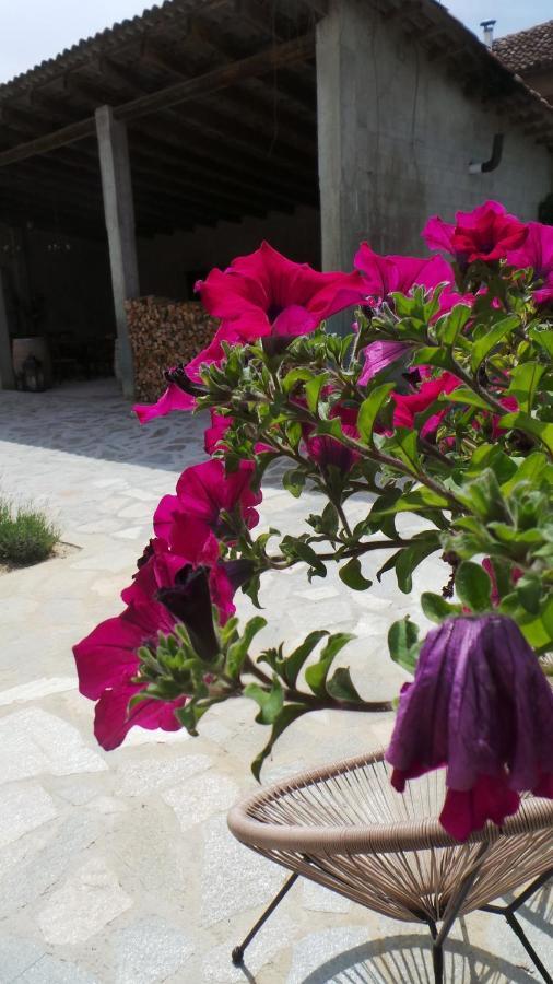 Sotto La Vigna Charm Stay Adults Only Vacation Suite Montegrosso dʼAsti Dış mekan fotoğraf